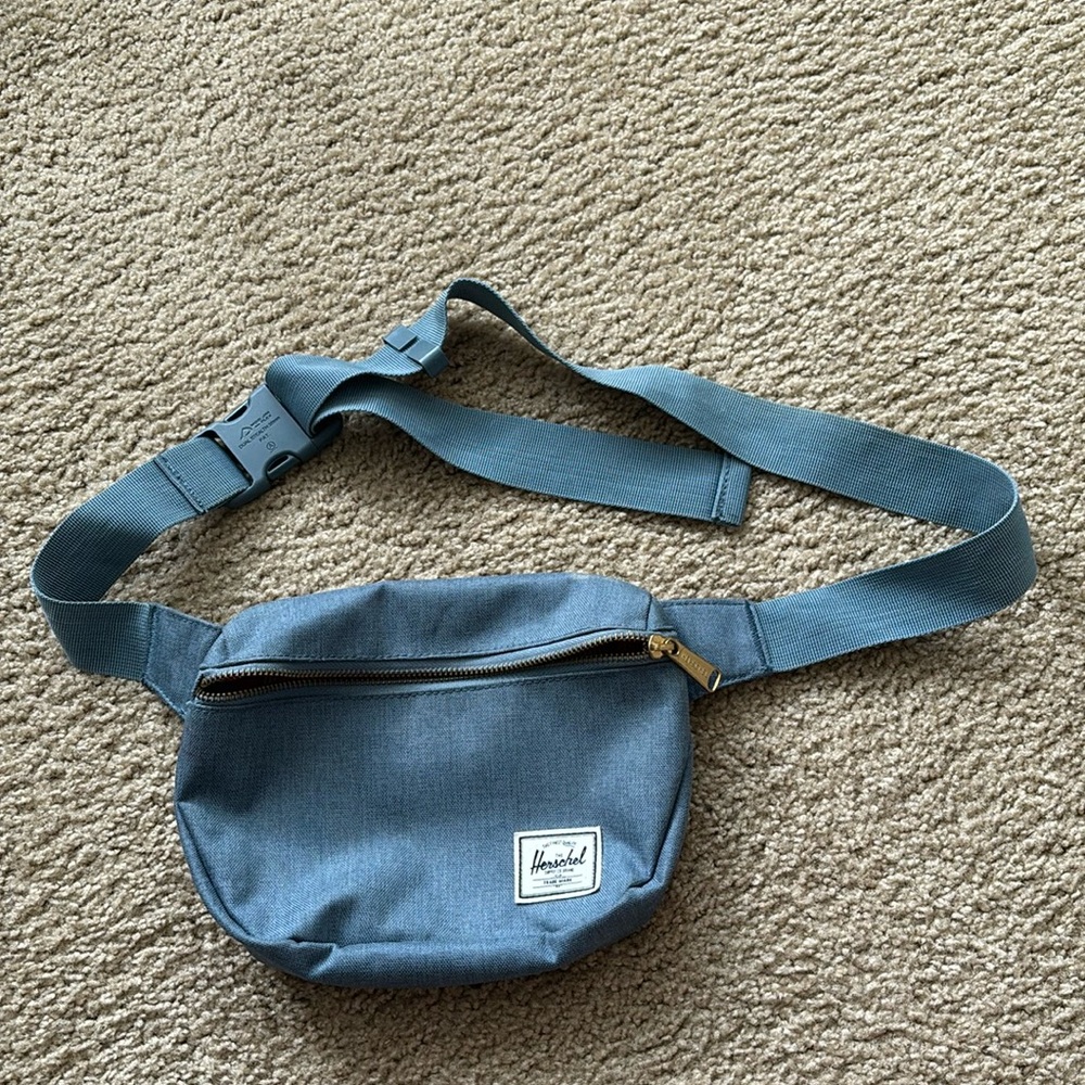 Hershel Hip Pack - image 1